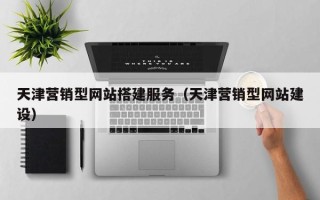 固原天津营销型网站搭建服务（天津营销型网站建设）